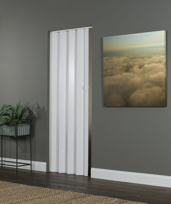 Echo Folding Door - Image 5