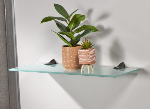 Wallscapes 8" x 24" Capri Glass Shelf Kit with Iron Beak Brackets