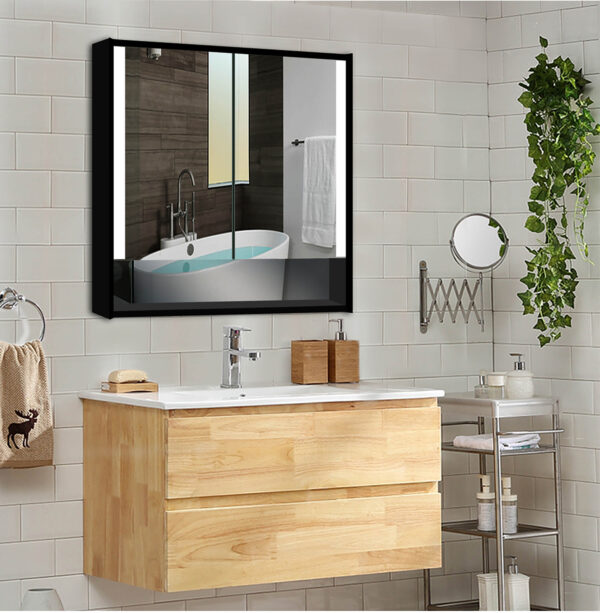 Edgar LED Mirror Cabinet