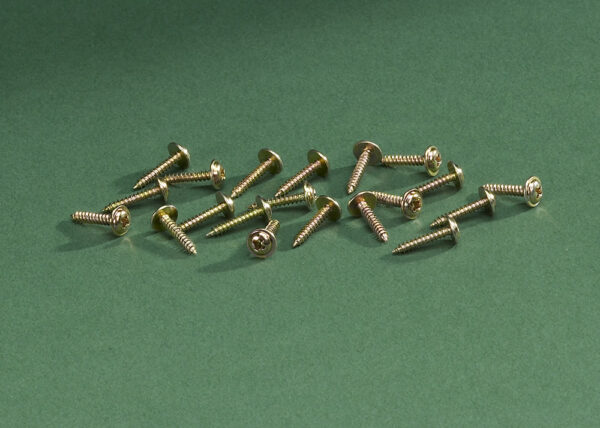 Hinge Screws for Oakmont