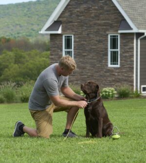 Pet Minder in use