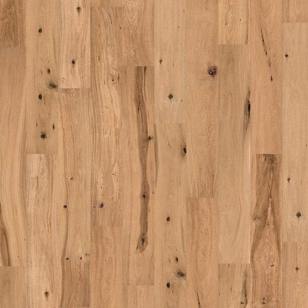 Sahara - Image 3